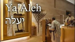 Rabbis Motti & Menachem Feldman - Yaaleh | יעלה תחנונינו