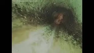 Long-Term Results of a Sectional Pipe Liner Point Repair