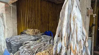 RAJA DRY FISH CENTER 100% FORMALIN & CHEMICAL FREE DRY FISH📍 