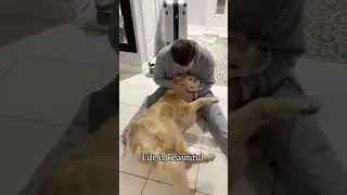 Cutest Duo Ever 😍🐶 | Heart-Melting Moments Between Pets and Their Humans
