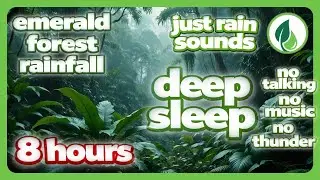 8 hours Emerald Forest Rain with Only Rain Sounds | Lluvia de bosque esmeralda solo con sonido de