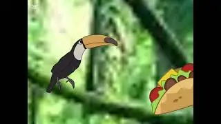 Learn the abcs t in for toucan