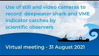 Advantages of EM and cameras to enhance the value of observer&rsquo;s outputs and personal safety
