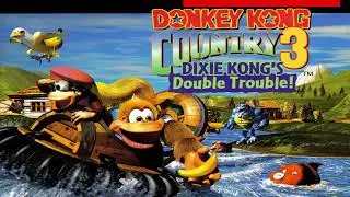 Donkey Kong Country 3 OST 35 - Swanky's Sideshow