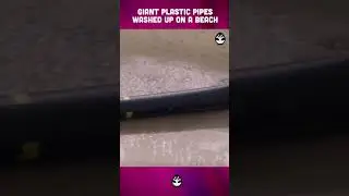Giant Plastic Pipe Washed Up on a Beach 🏖️ Pls Subscribe Like and share 🙏