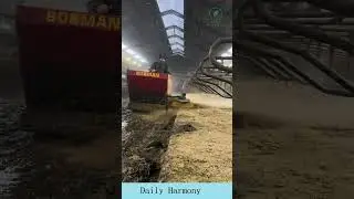 Cleaning cow beds
