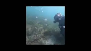 Tinderbox dive in poor conditions birthday tradition