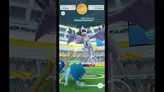 Mega Aerodactyl Solo With 55 Seconds Remaining 🪽 | Pokemon Go |