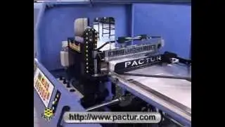 CONTINUOUS SIDE SEALERS LADYPACK