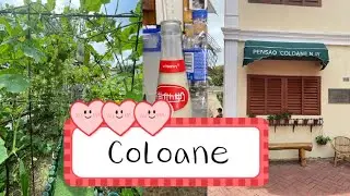 05.21.2023 - Coloane & Fisherman's Wharf