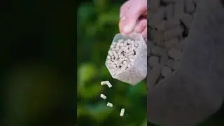 Strong & Healthy bones for your horse? 🦴
