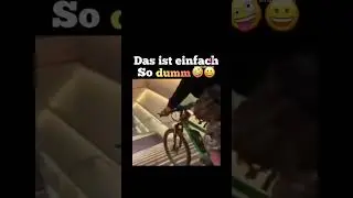 Menschen sind einfach so Dumm😄 Lachen Humor und Lustige Videos
