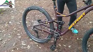 BELFORT BALAM GOLD 2021