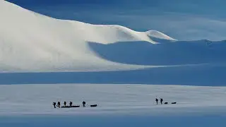 ARCTIC NATURE GUIDE  - ALL YEAR - 2018