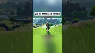 All C6 Effects in Genshin | Genshin Impact