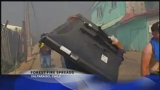 Chile forest fire