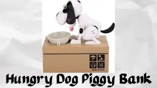 Lets Play Hungry Eating Dog Coin Bank ASMR #shortslive #shortsfeed #asmrsounds