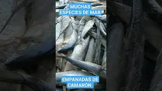 LOS PESCADOS MAS FRESCOS DE IZPALAPA #shorts #ciudaddem&eacute;xico #centraldeabasto #empanadas