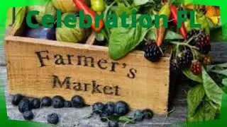 Celebration Farmers Market Check Out Varieties Florida