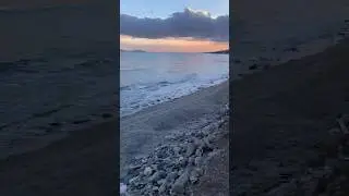 Peaceful Beach Sunset Walk With My Dog | Amazing Golden Hour Beach Walk Footages