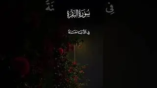 This Dua Can Change Your Life 🤲🏻 #freepalestine #dua #surahbaqarah