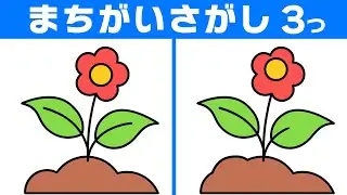 【間違い探しクイズ】簡単脳トレにチャレンジ！50代60代にもおすすめ！【おまけつき】