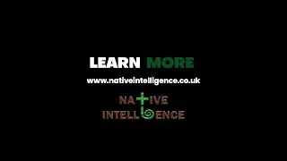 Do you refer to Native people without referring to yourself? The New Natives Talk with Darren Deojee