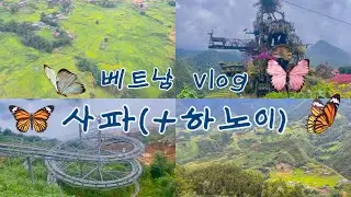 🇻🇳베트남 여행🎶사파, 깟깟 마을, 사파 알파인코스터, 판시판 산, 사파 여행🇻🇳