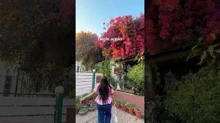 Cafe mini vlog💕✨🦋