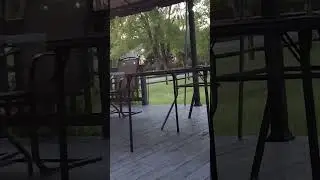 Neighbor Vlog #2