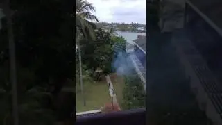 6am Smoke (bug spray)