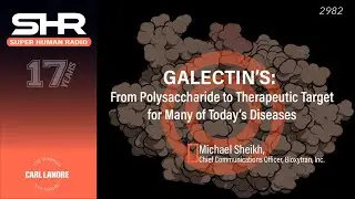 Galectins: From Human Lectin to Therapeutic Target For Many Of Today's Diseases