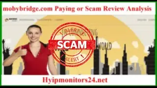 mobybridge.com Paying or Scam Review Analysis