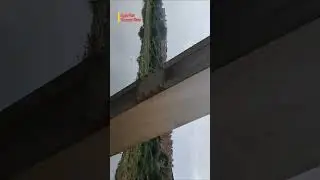 Train View Of Yamuna River & Agra Fort 🥰#youtubeshorts #ytshorts #shorts #travel #train #vlog #irctc
