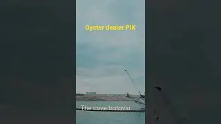 oyster dealer .situasi terbaru 2022 #pik #oysterdealer #seafood #thecove #jakarta