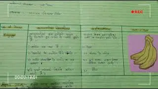 Maths lesson plan class 10 ( Real number 5E model (