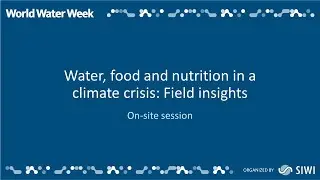 Rights to water and food in freshwater resource allocation