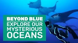 Beyond Blue Gameplay | First Look At Blue Planet: The Game