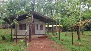LTM Eco Park - Gerusoppa ( Forest Guest House )
