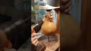 Lets Cut A Gourd Birdhouse