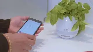 JIKXO - Pot de fleur connect&eacute; r&eacute;volutionnaire