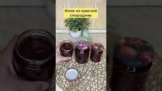 Желе из красной смородины