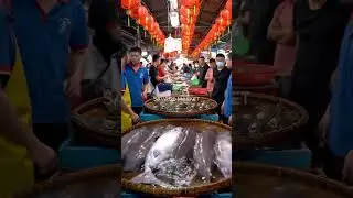 Viral! Dugongs Sold in the Bustling Asian Market