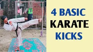 How to Kick - 4 Basic Karate Kicks | Basic Kicks for Beginners