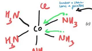 Coordination Compounds Class 1 | Double salt, ligands, terms