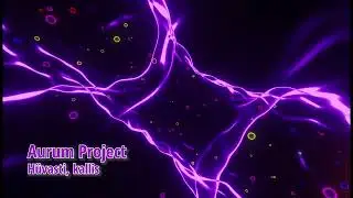 Aurum Project - Hüvasti, kallis