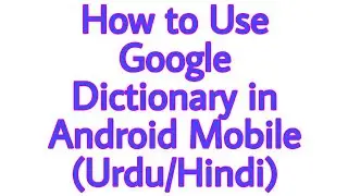 How to use Google dictionary in android mobile (urdu/Hindi)
