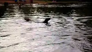 Maya Kopper Jumping