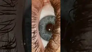 can i get famous off of my eyes too? #lashes #boldeyes #viral #blueeyes #trending