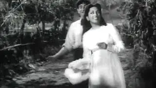 Tarai Tarari Tarari Tarari, Dastan (1950), Mohd Rafi, Suraiya, Raj Kapoor, Hires Audio